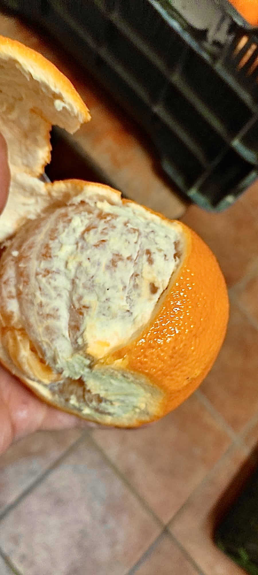 Eine frisch geschälte Orange in einer Hand.